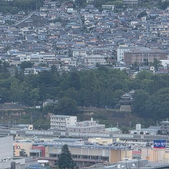 さっきいた上田城跡､櫓が見える