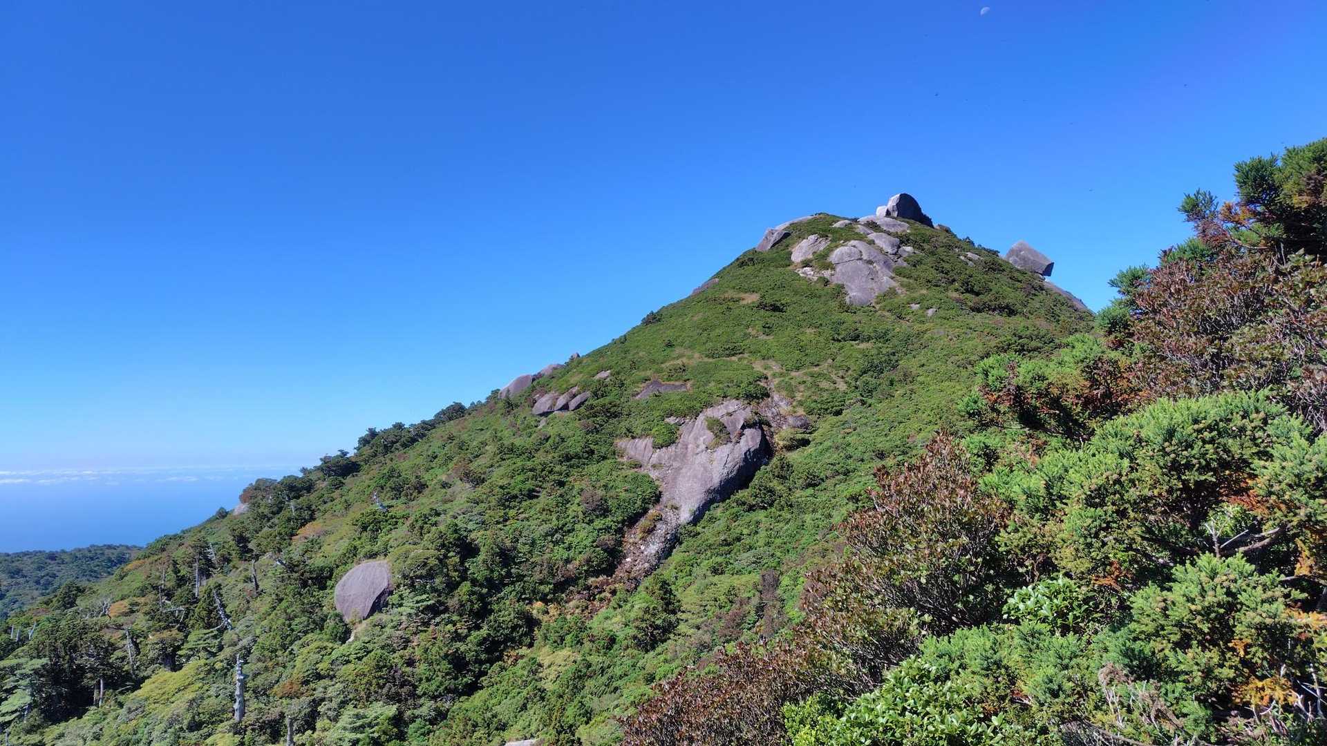 屋久島の山は巨石がかっこいい
