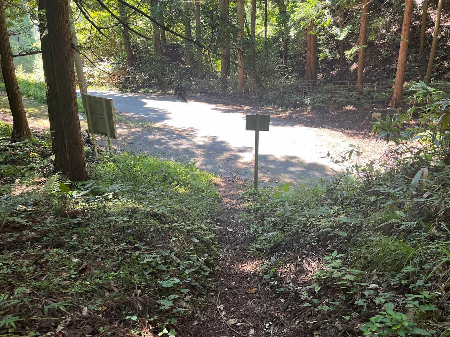 どんどん下山して道路まで帰りました。
今日は3週間ぶりに他の登山者の方とお会いできてほっこりしました👫

先週の登山で暑すぎてやけになってポチったショートパンツは良かったです👌
カラーをブラックにしたので汗でビショビショになっても汗染みが目立たなくていいです✨

見て頂きありがとうございます😊