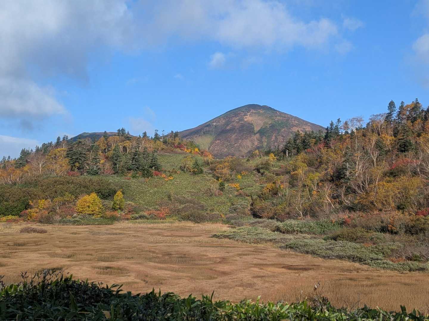 火打山 往復コース | 天狗の庭の湿原と花、CNNも選んだ「天上の楽園」への道の写真