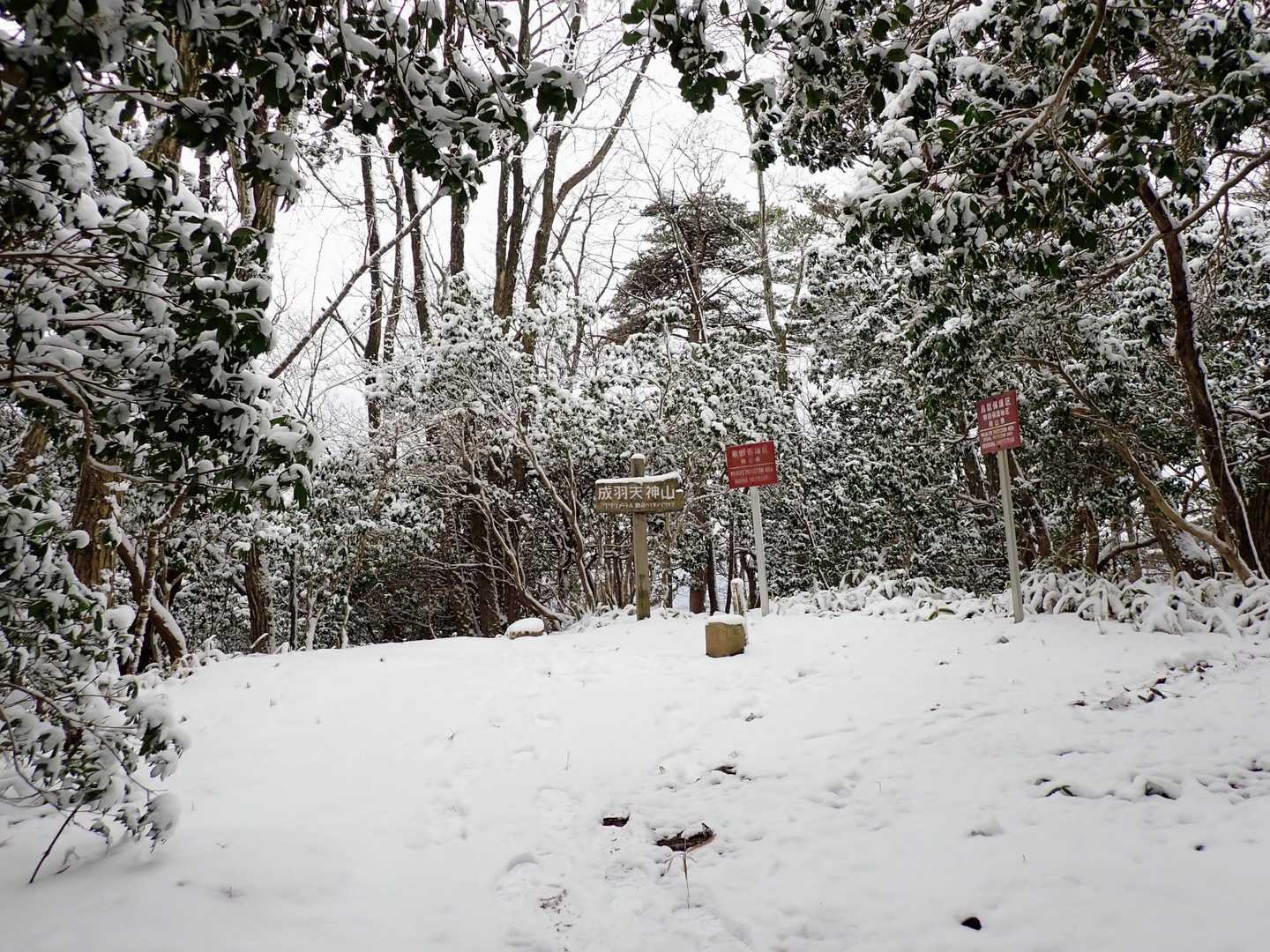 天神山の頂上に到着🙌
