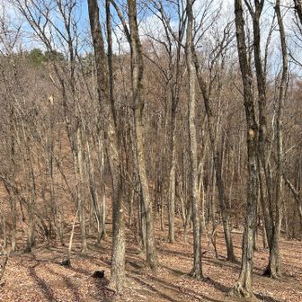 ピンテ探しながら歩きます🚶‍♀️