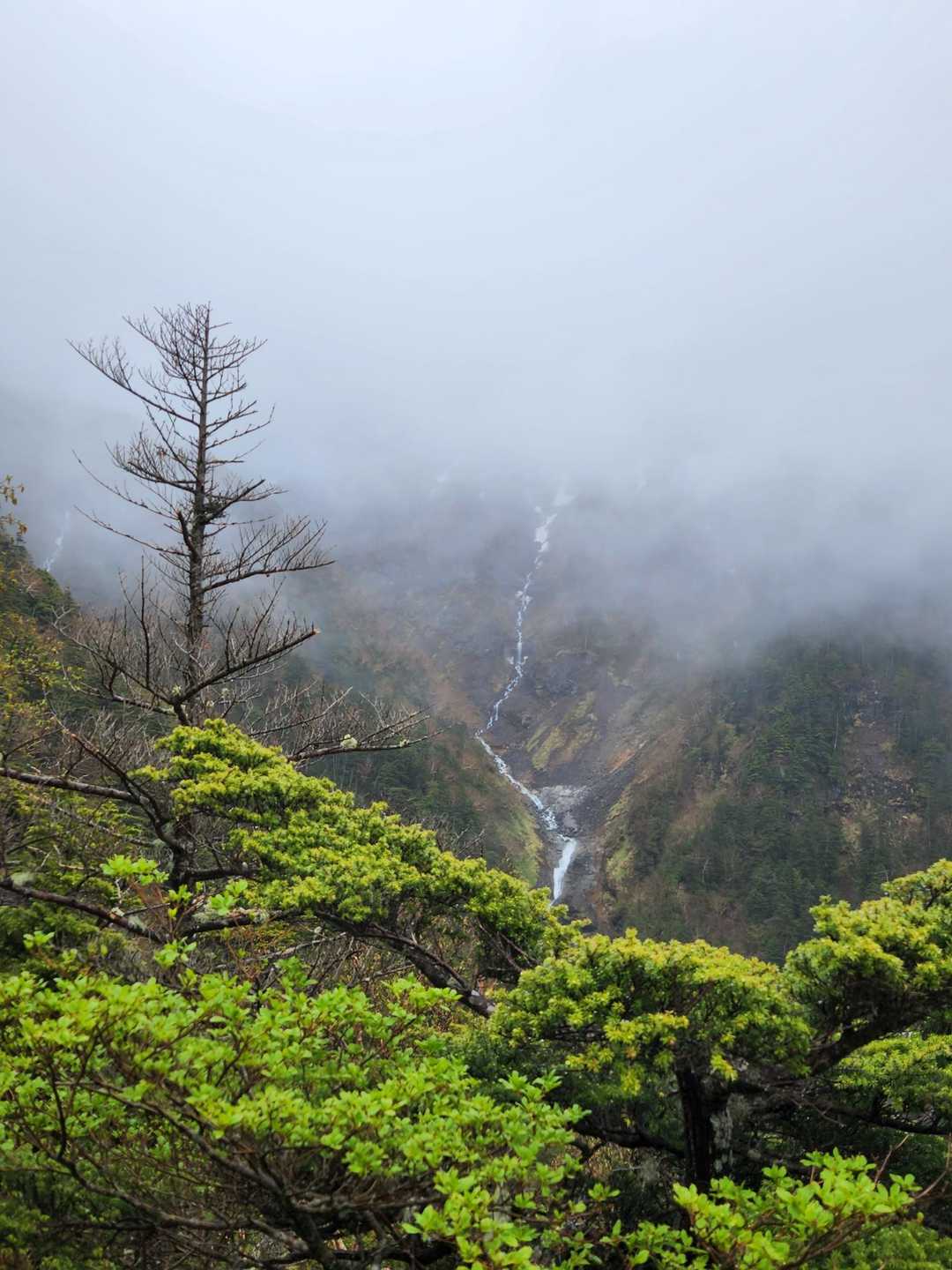 御岳登山口-飛騨頂上 往復コースの写真