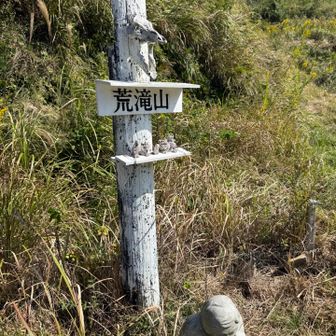 昔に比べシンプルに