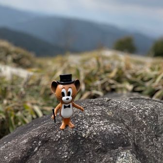 miyyan8888(ミーヤン)