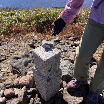 ご紹介します　山頂のミニチュアです　可愛い
