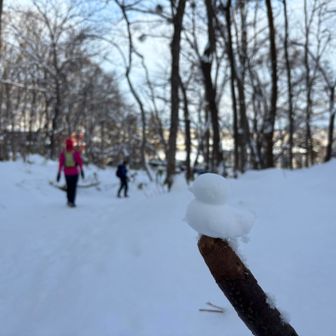 駐車場が見えてきました🐤