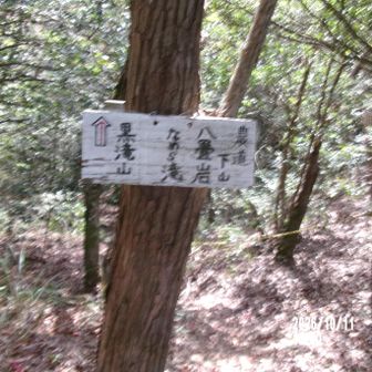 尾根に着く