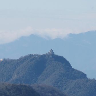 山頂からは金華山(岐阜城)がバッチリ見えた🏯