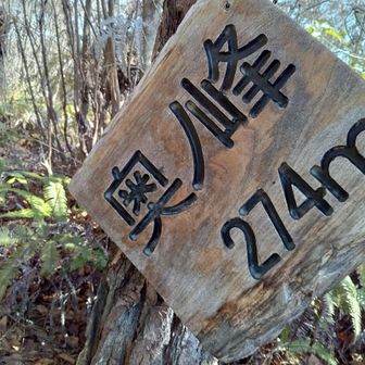 奥ノ峰。本日はここまで。