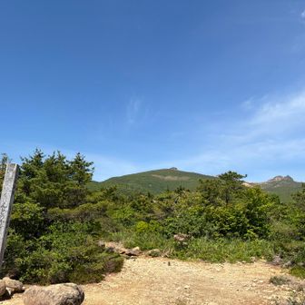 ほんとの空