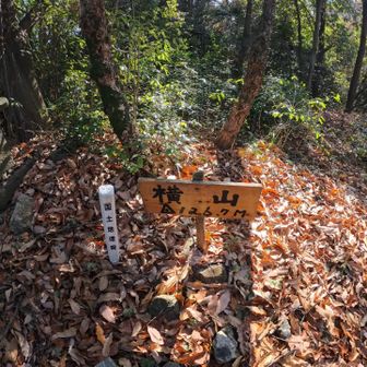 はい、到着。
ちょうど１年ぶりかな