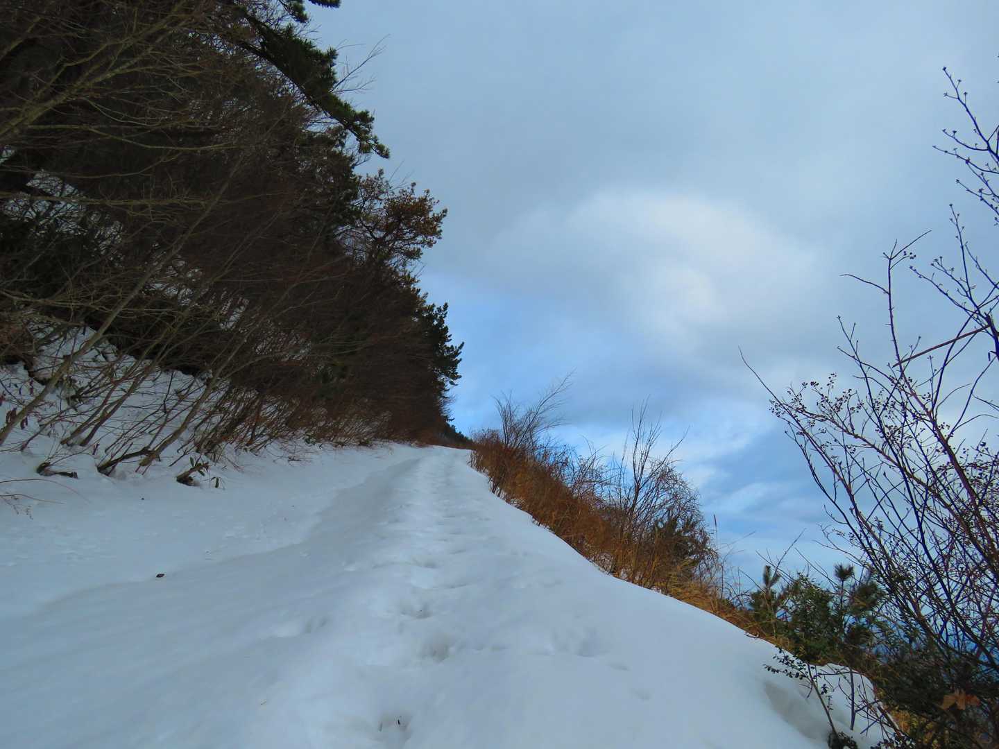 東の原登山口-三瓶観光リフト 山頂-大平山 往復コースの写真