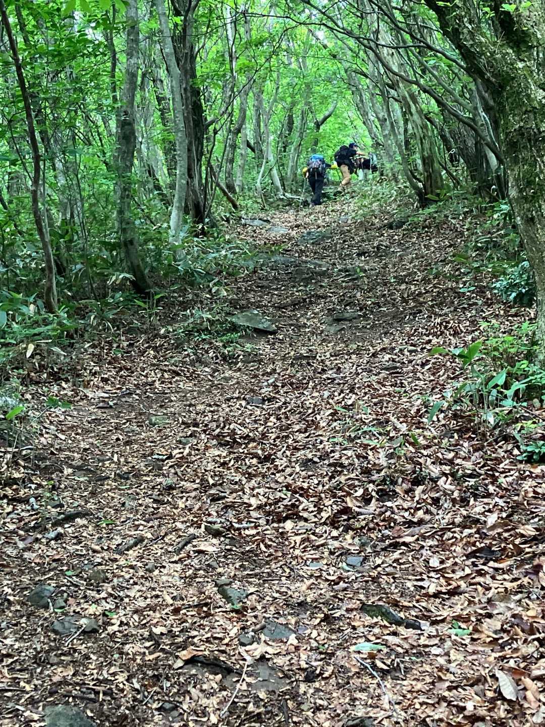 天狗石山登山口-天狗石山 往復コースの写真