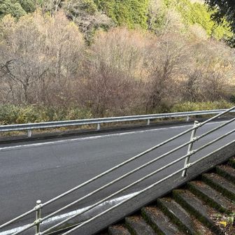 いったん車道と交わります。