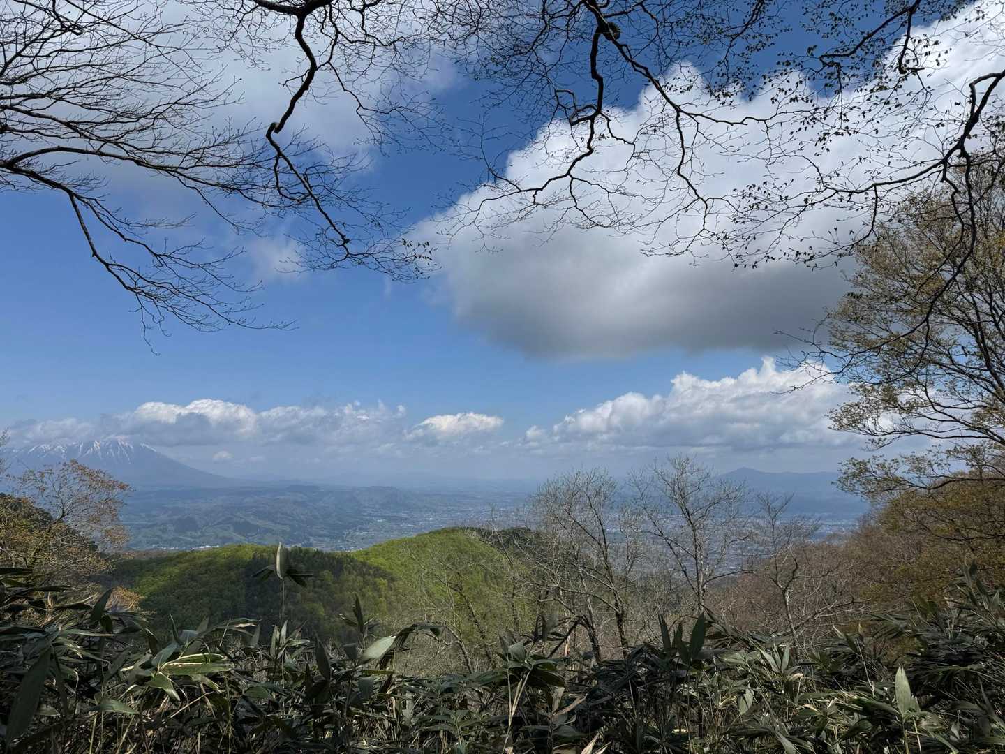 やっとの展望♡