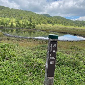 鏡池。池塘とは違うが、もっと水をたたえた鏡池も見てみたい。
