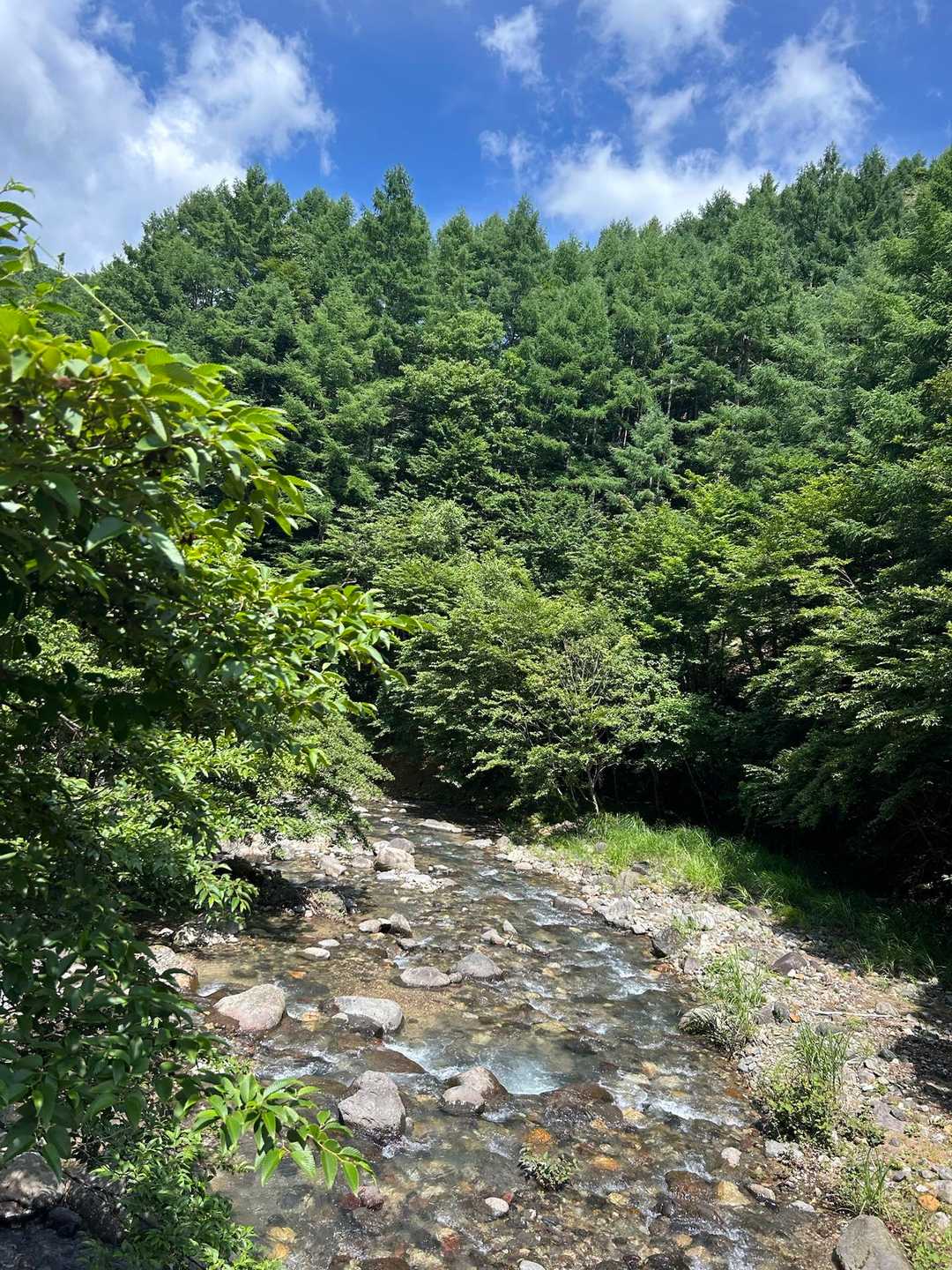 いいね😊