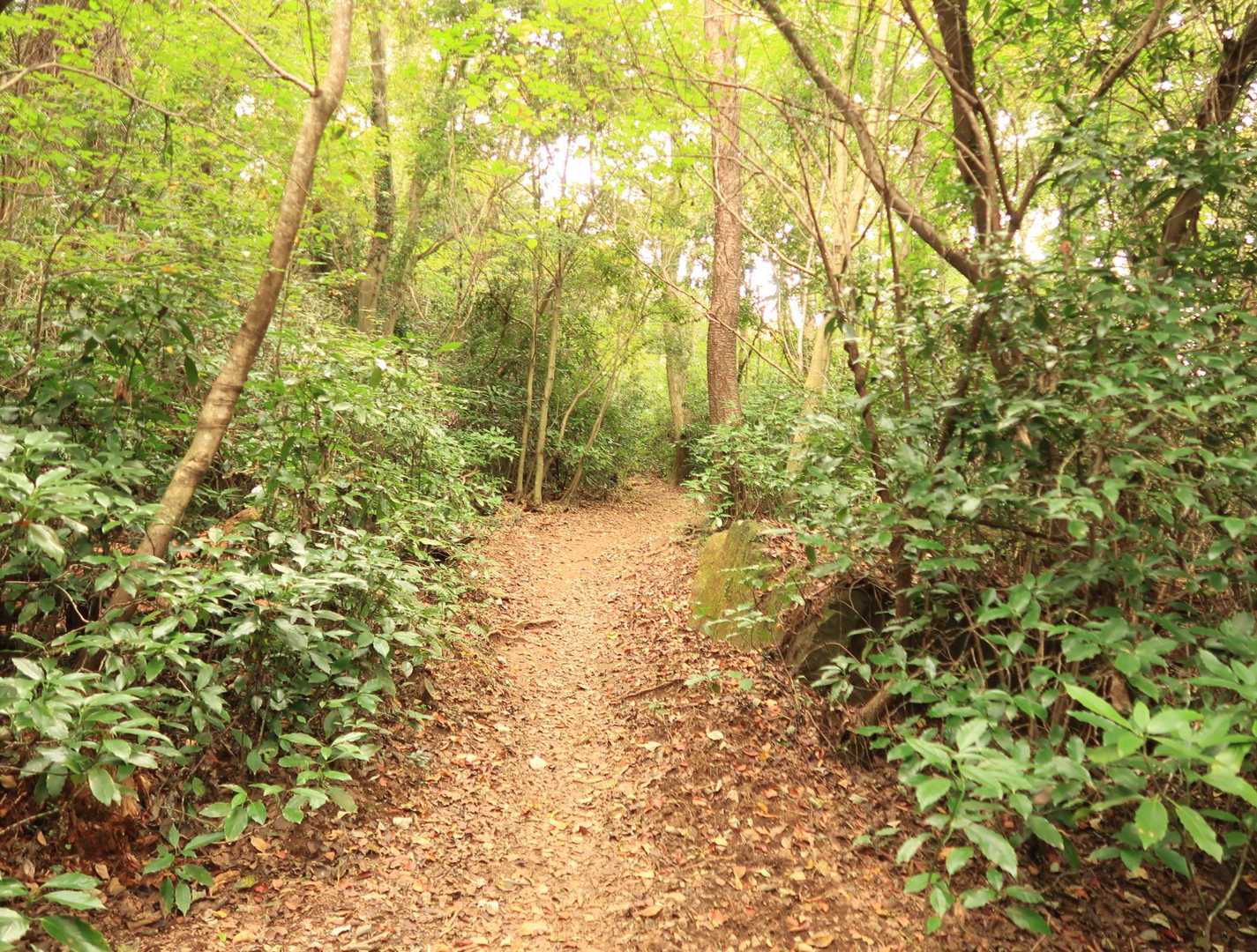 筑波山へ登ります