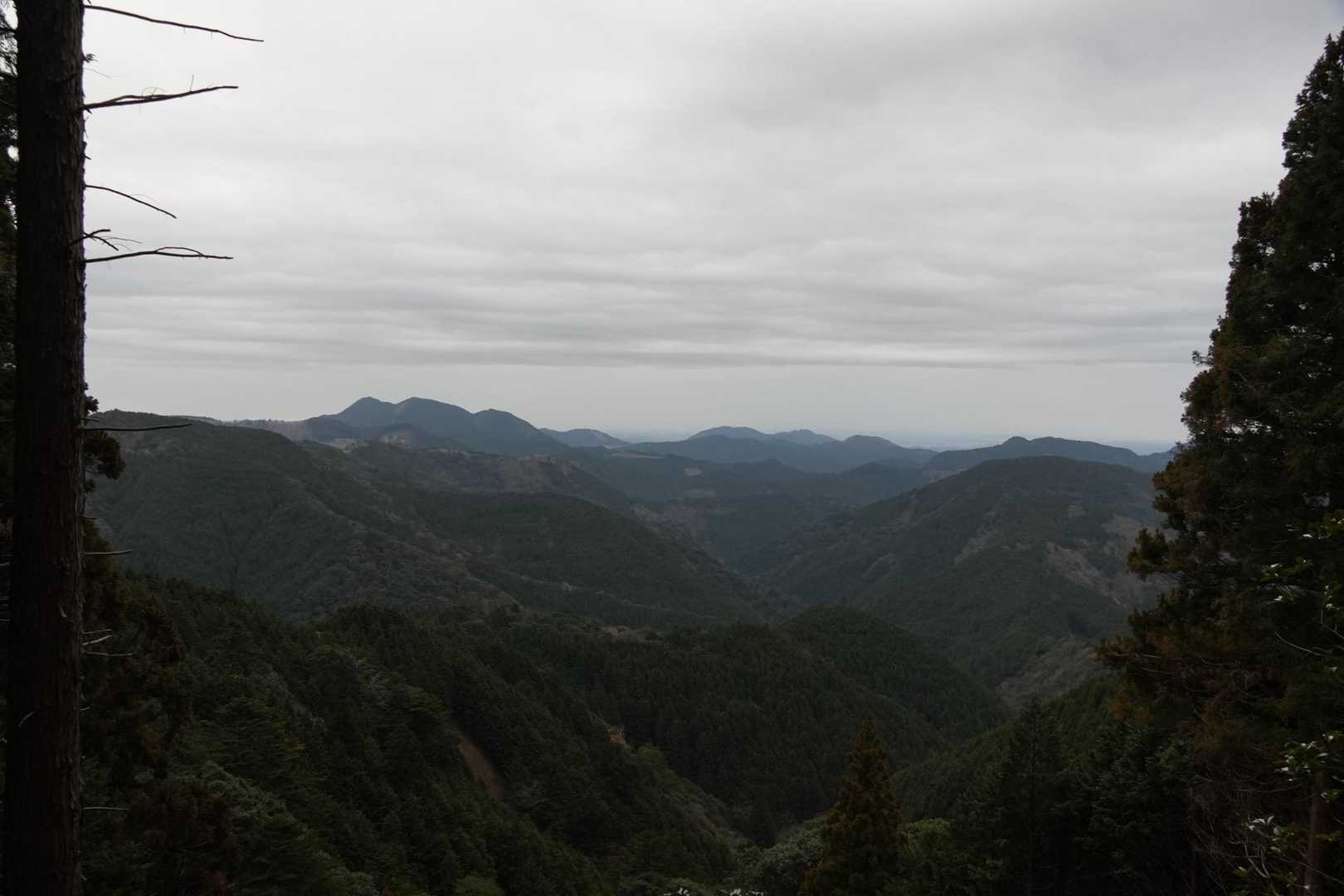 大日山登山口-大日山 往復コースの写真