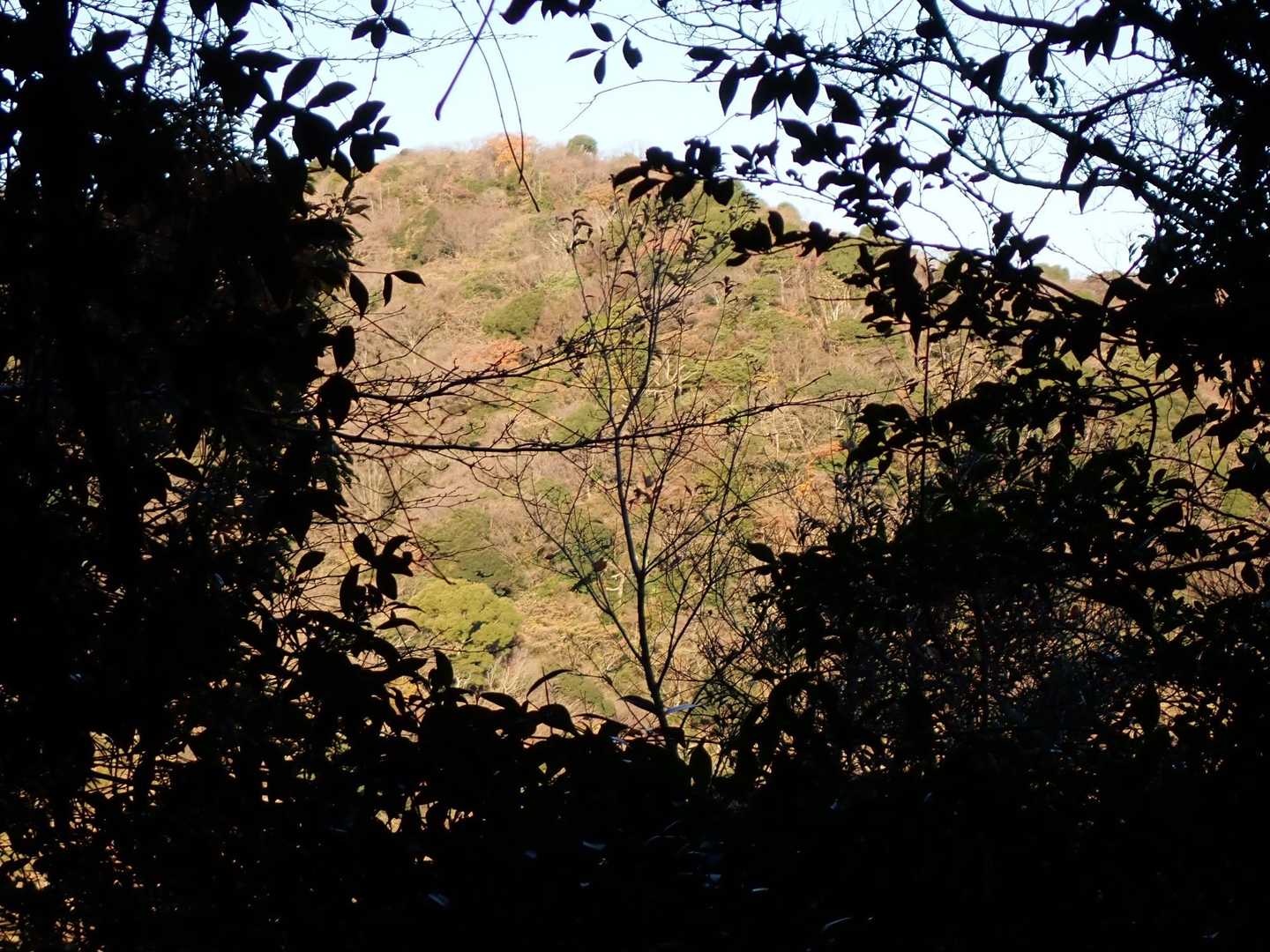 これから行くお山