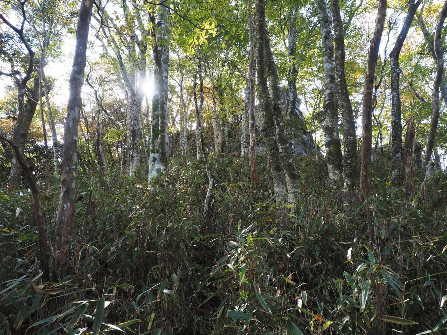 三角点のある岩場が見えてきた