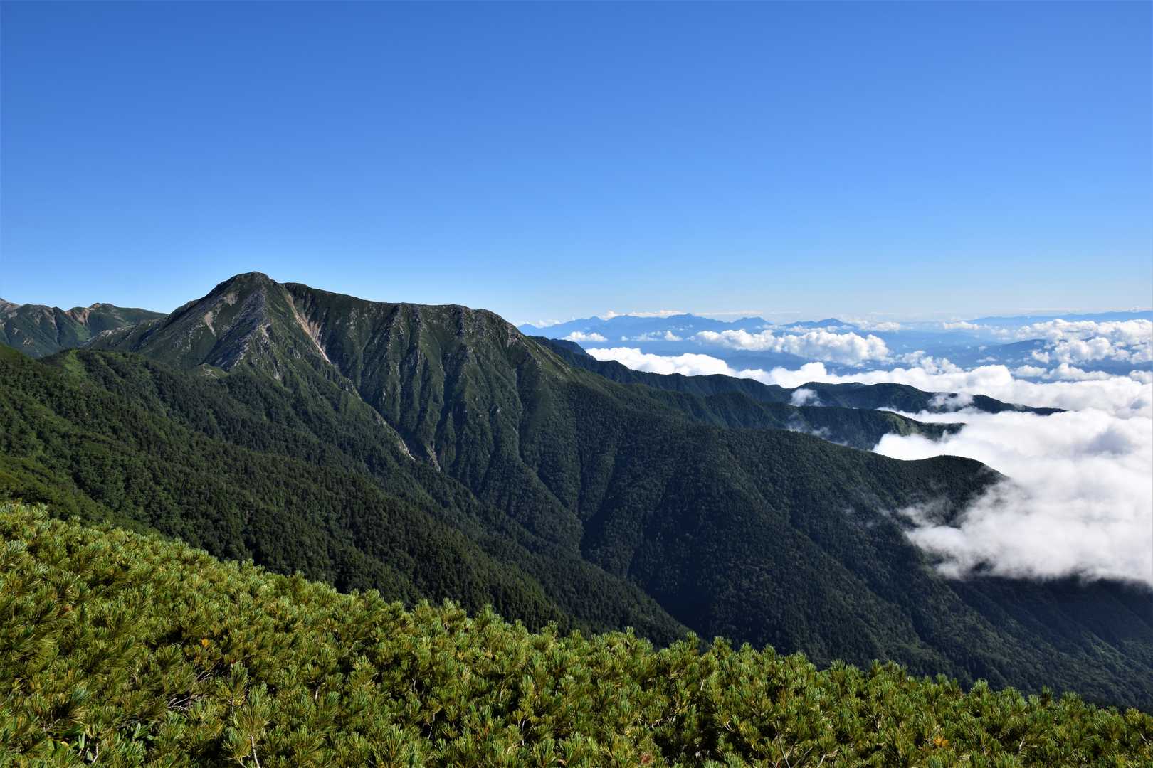 三股登山口-蝶槍 往復コースの写真