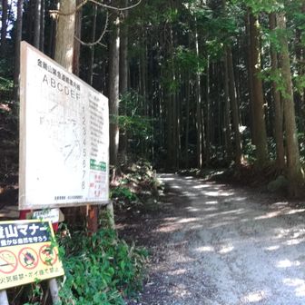 街中との温度差があって気持ちいい