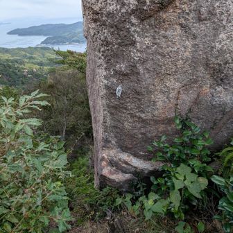 キャンプ場に下りるロープが外されていました