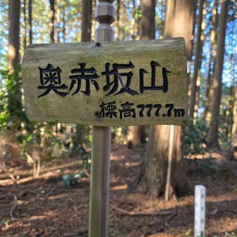 ラッキーセブン🍀