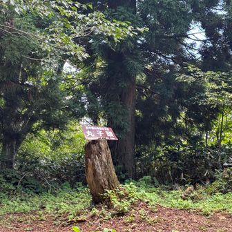 ラスト丸子頭つきました△
しばし休憩〜