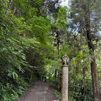 登りは6号路