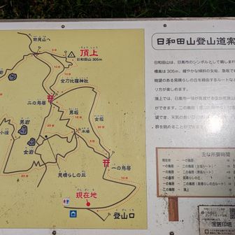 男坂登って岩の方を回って帰って来るつもりでした。