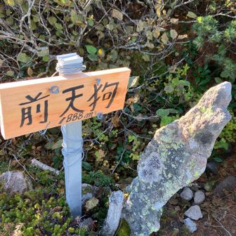 標識があるけど