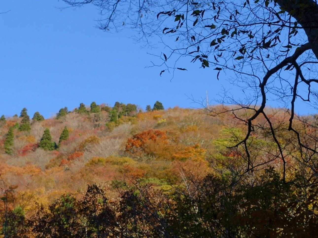 杉峠が見えます