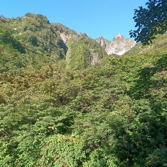 頂上⛰️が近ずいてきたけど ここから登りが大変だった 🐾