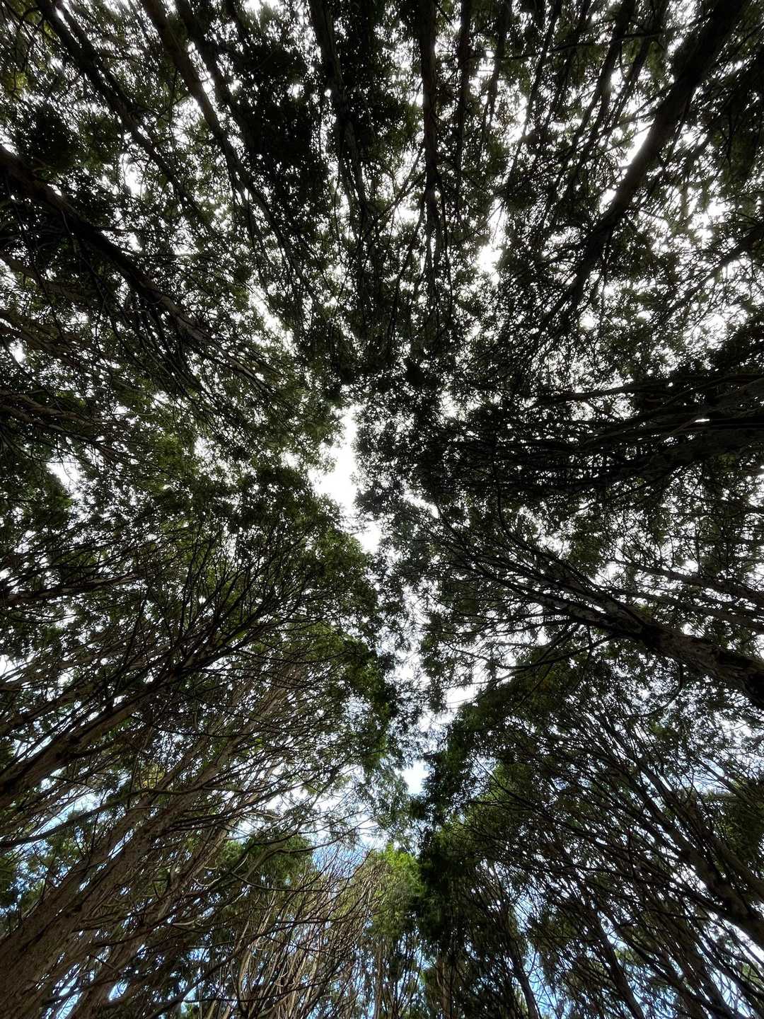 予習通り眺望はなし
でもほっとする空間でした😌