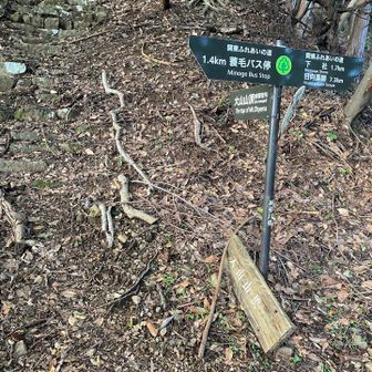 合流地点で振り返って。上の入り口には標識なし。