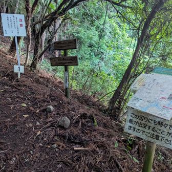 登山口。ルート上に番号が振ってある。登山口は１