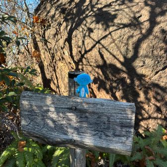 岩梨山、登頂〜✨