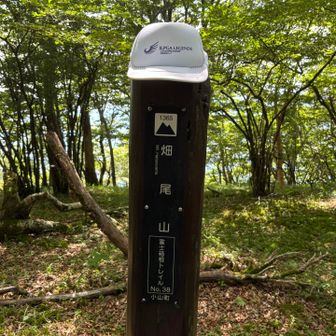 畑尾山に到着