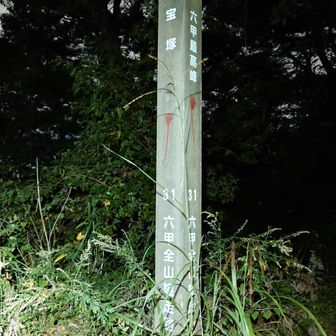 もう六甲全山縦走路の看板見るの嫌になってきた