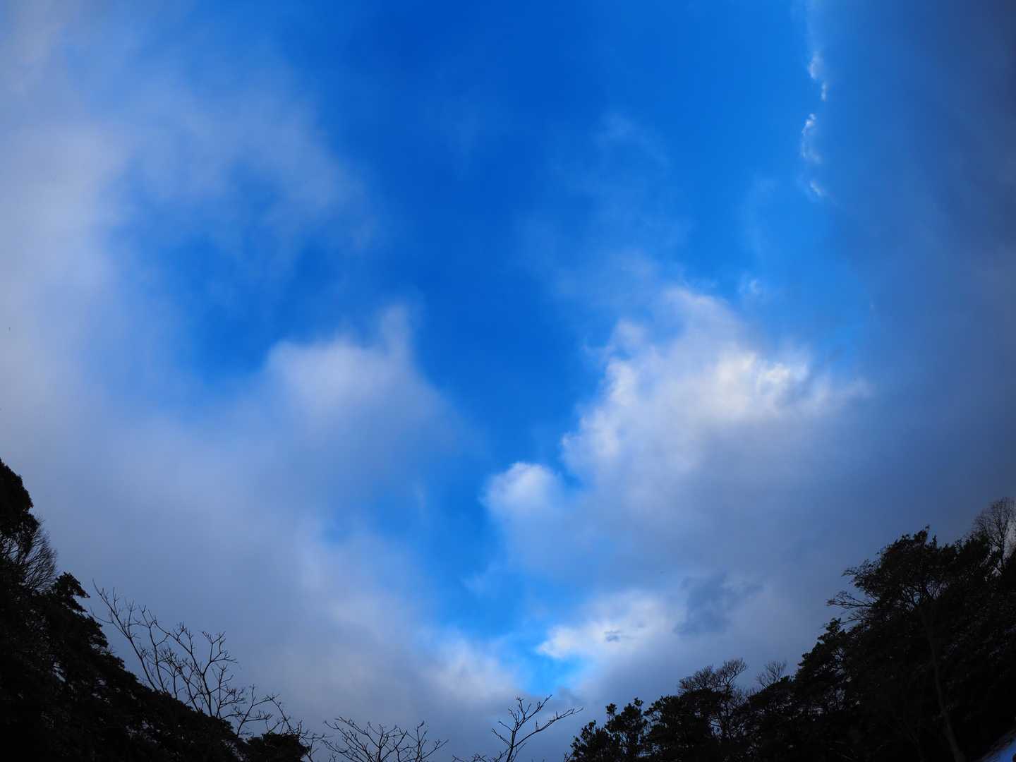 空だけが見えます