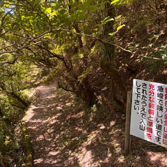 まぁ滑りやすいけど普通の登山道です