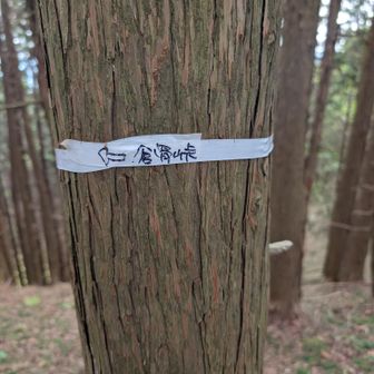 ちょっとこの手前で行き過ぎて尼ヶ岳方面に行ってしまって、
戻ってきた
鞍掛峠へ