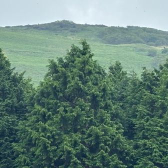 帰り道、晴れてきた
残念