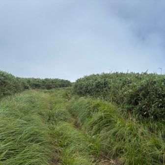 晴れてきました！