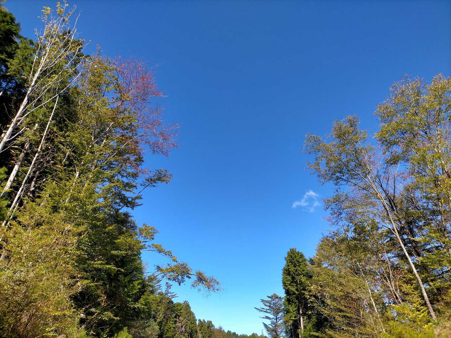 素敵な空