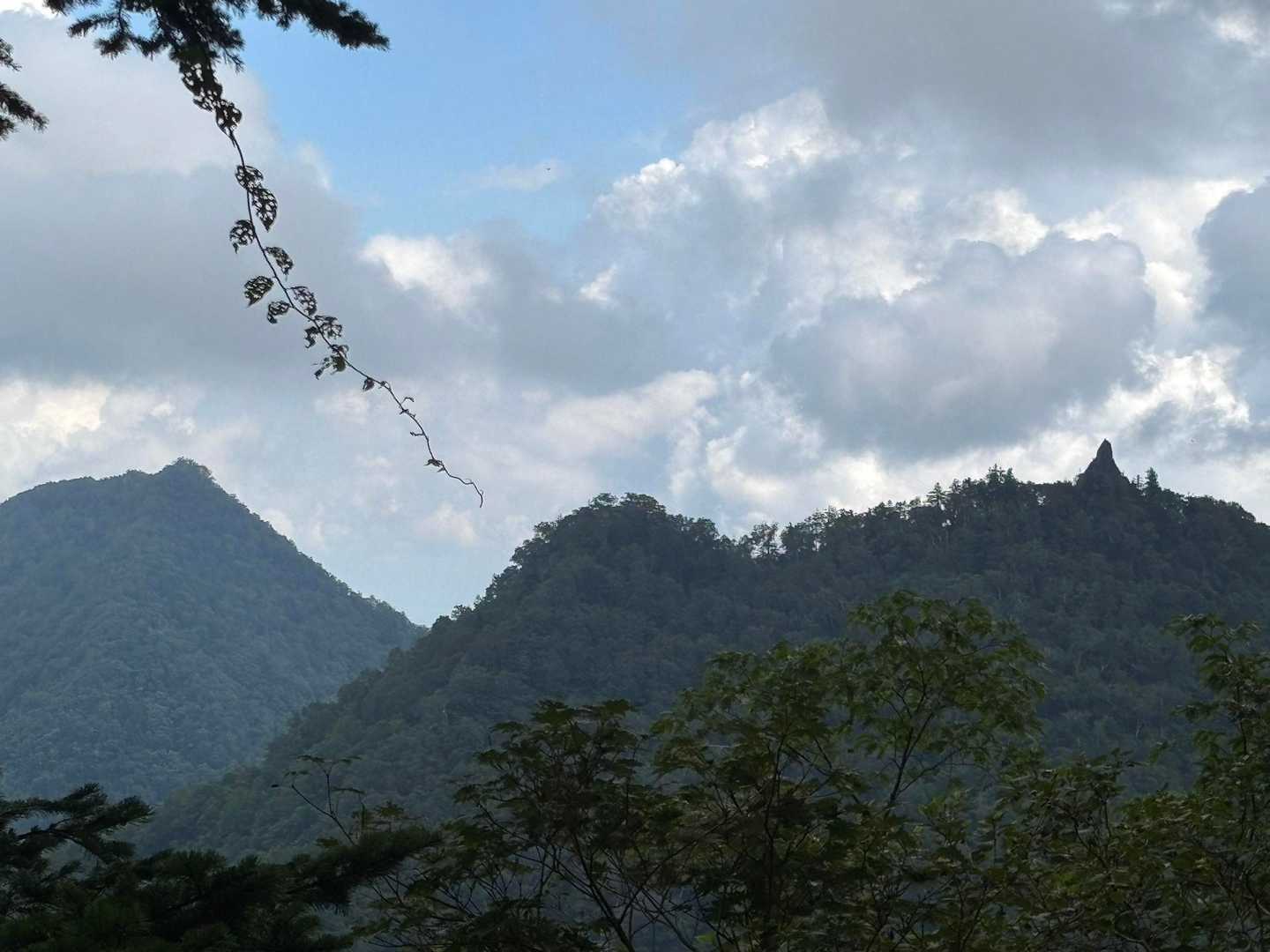 下山途中で盤の沢山、パゴダの塔
パゴダへのアプローチは正面よりも左の尾根沿いがいいのでは⁈問題は渡渉箇所かな