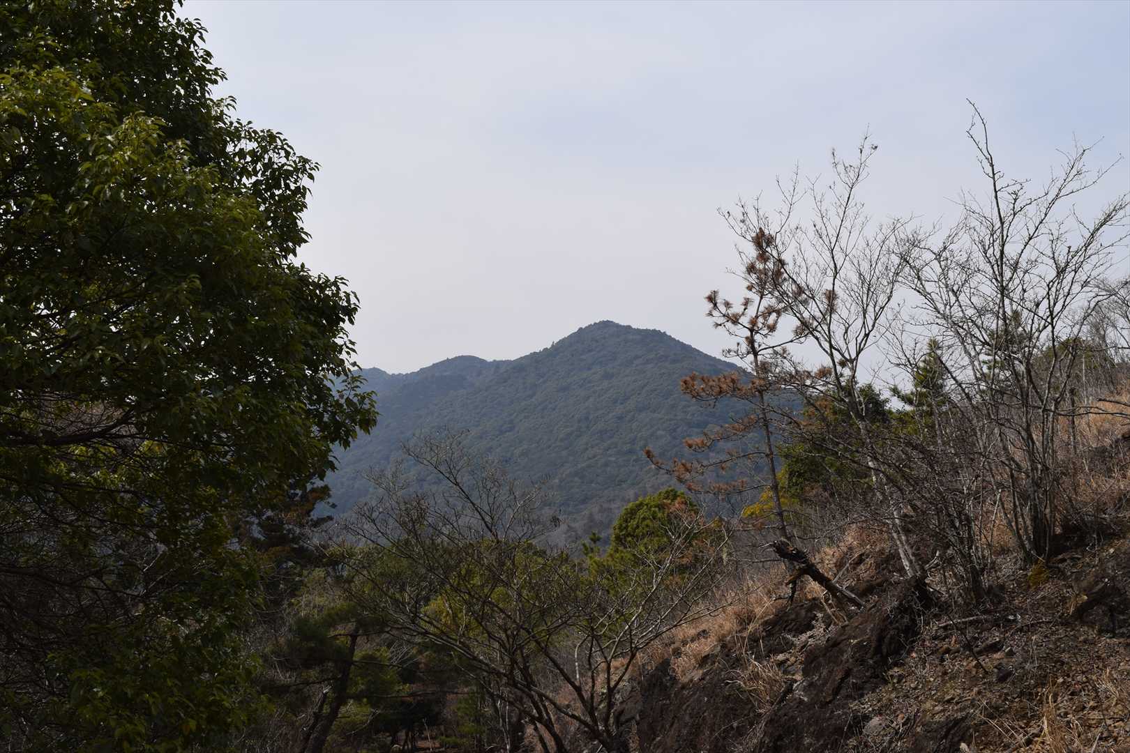鼓ヶ岳。